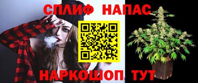 индика Будённовск