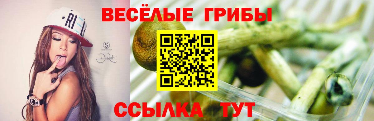 Галлюциногенные грибы мухоморы Лобня